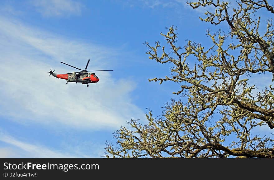 Royal navy rescue chopper skimming the tree tops whilst on a search & rescue mission. Royal navy rescue chopper skimming the tree tops whilst on a search & rescue mission