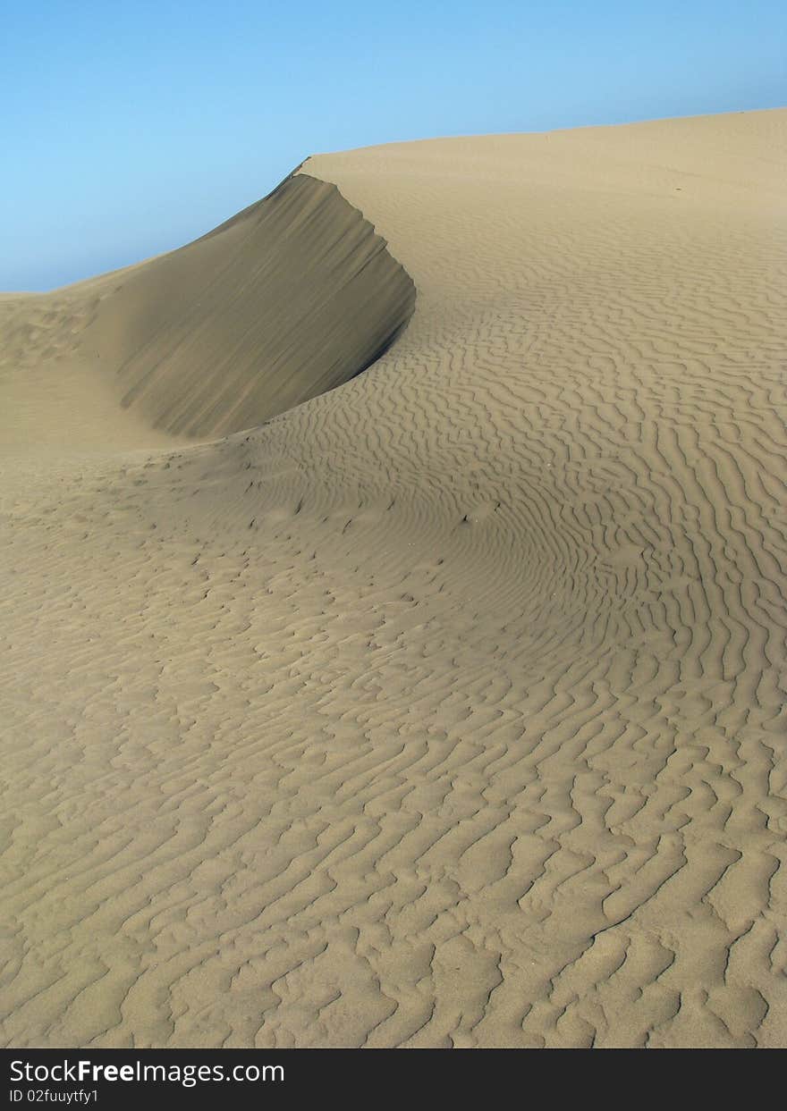 Dry Dune