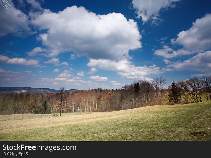 Polish mountain in spring