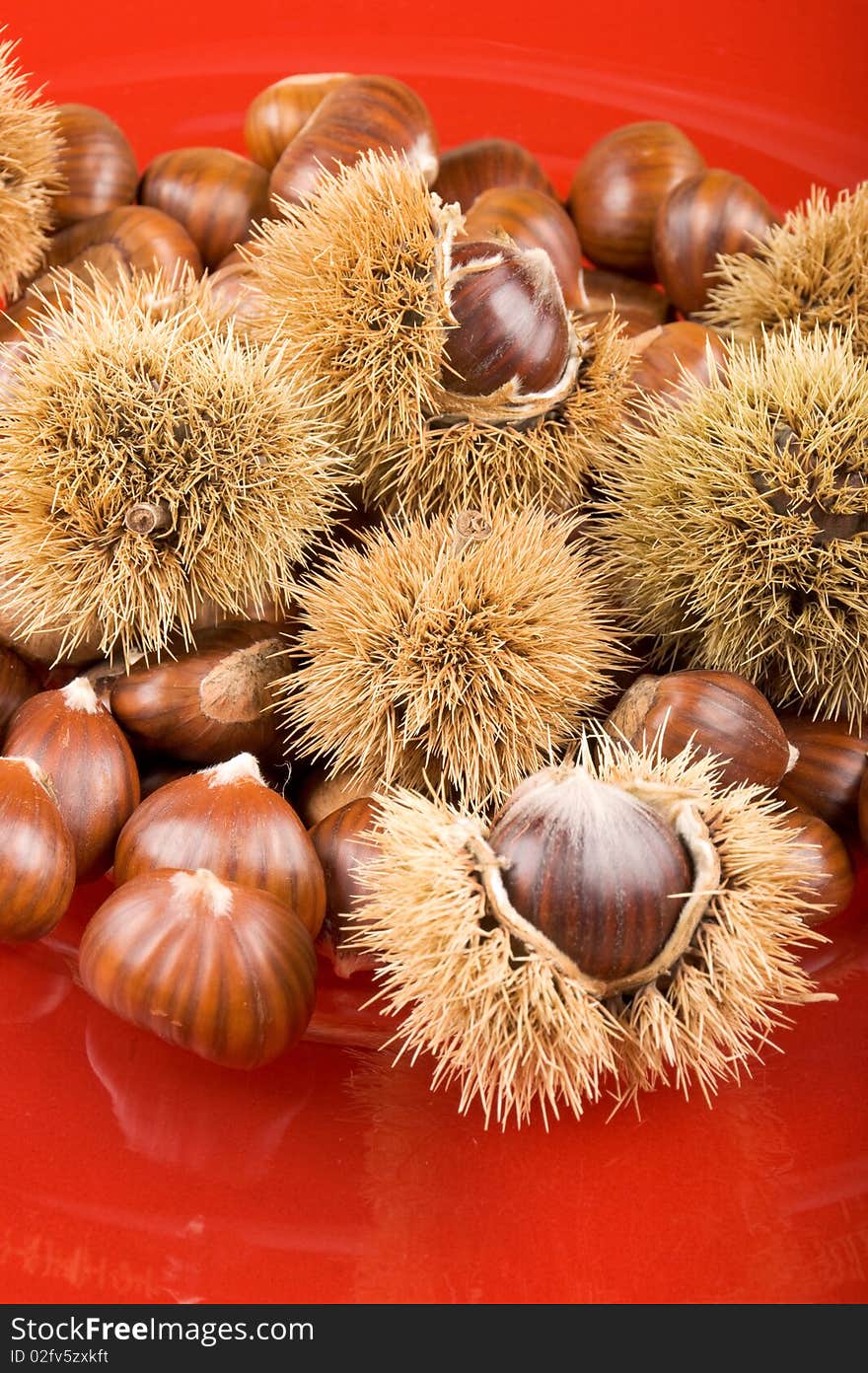 Sweet chestnuts and chestnut husks on red plate