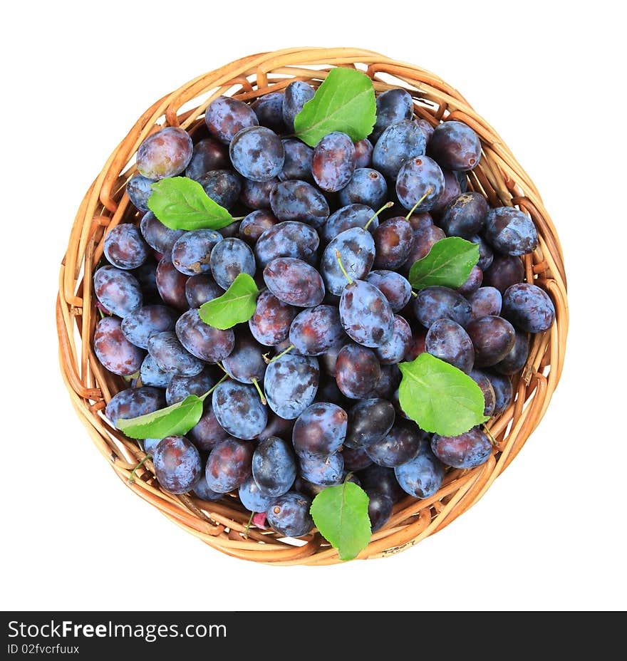 Freshly picked damson plums