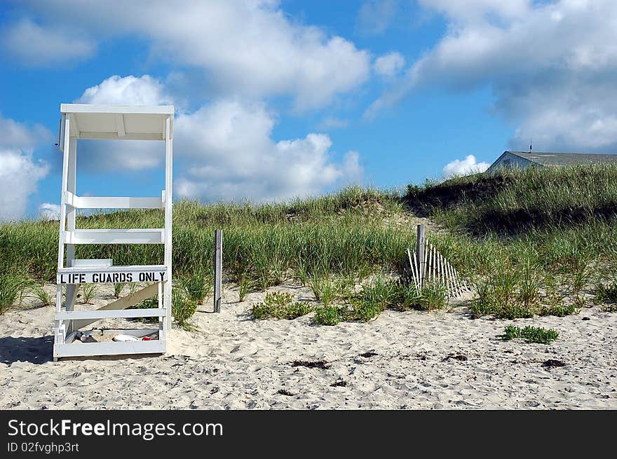 Beach Scene Cape Cod