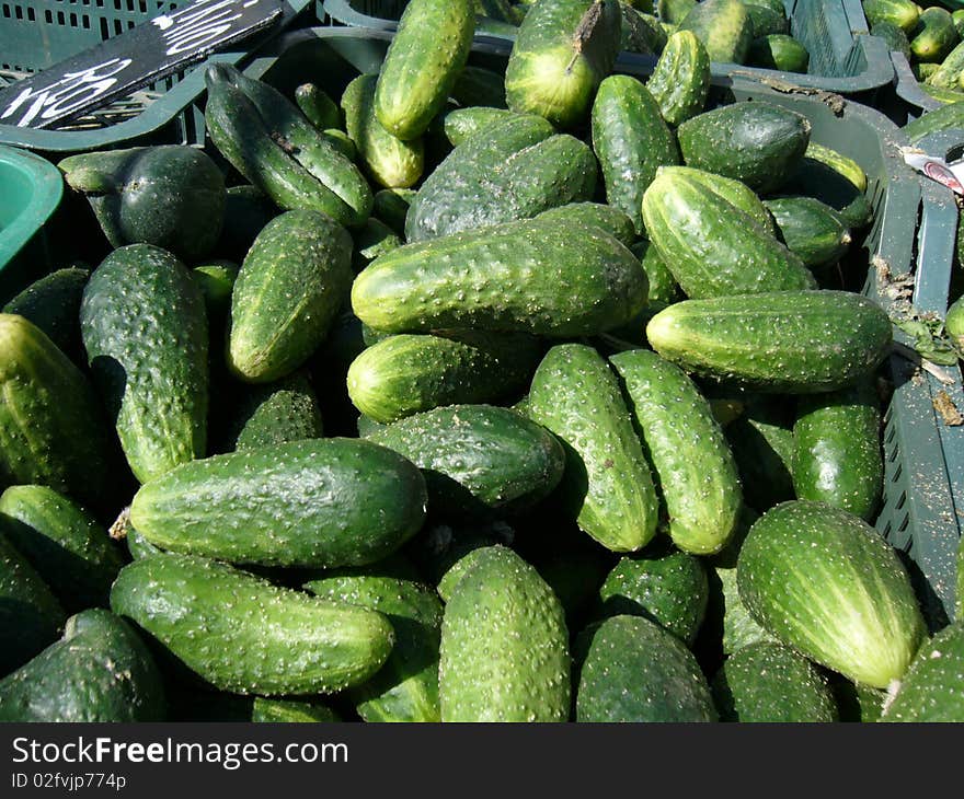 Cucumbers