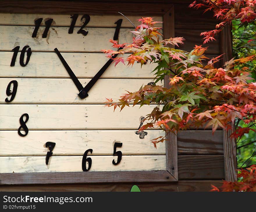 Red maple leaves with clock. Red maple leaves with clock