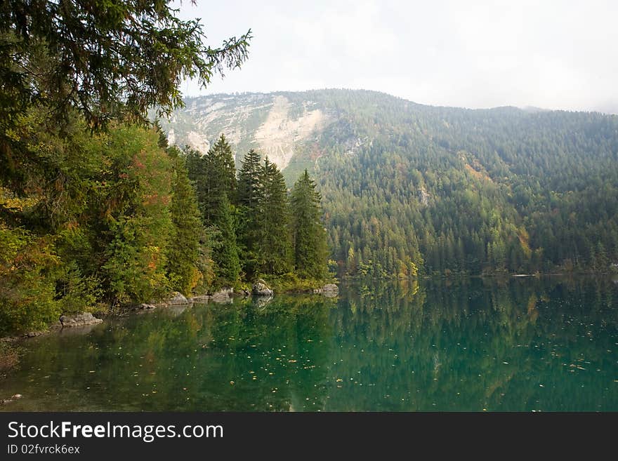 An image of a beautiful forest and a lake. An image of a beautiful forest and a lake