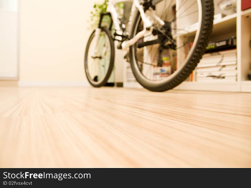 Domestic Room with a Bicycle