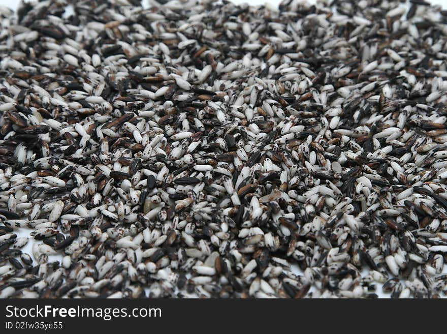 Black rice