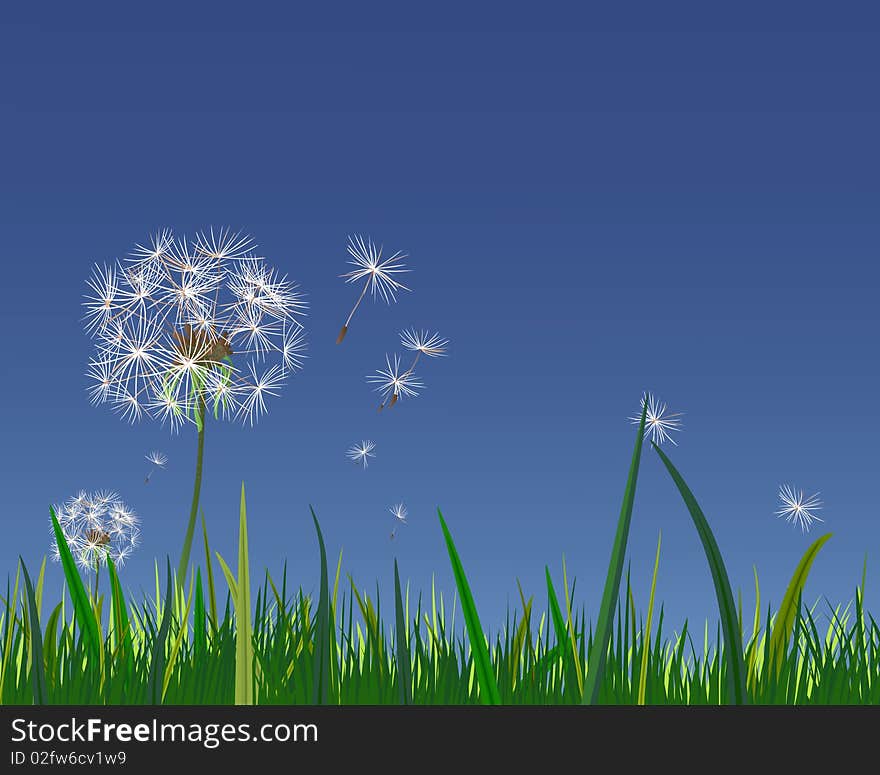 White dandelions on a blue sky background