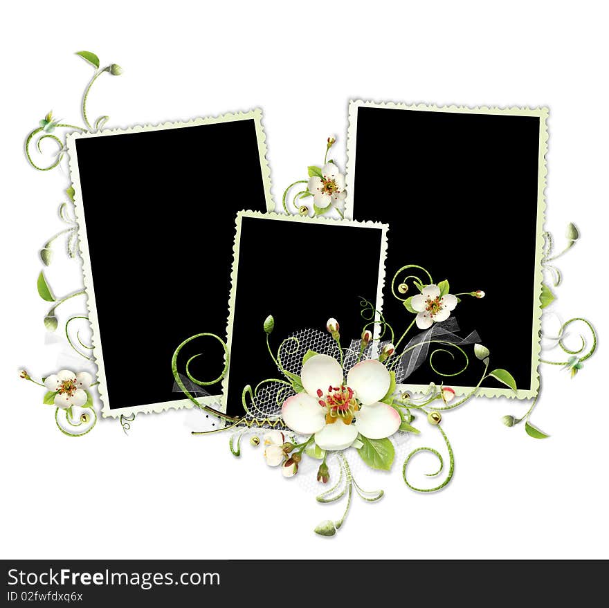 Beautiful spring frame with apple tree flowers on the white background