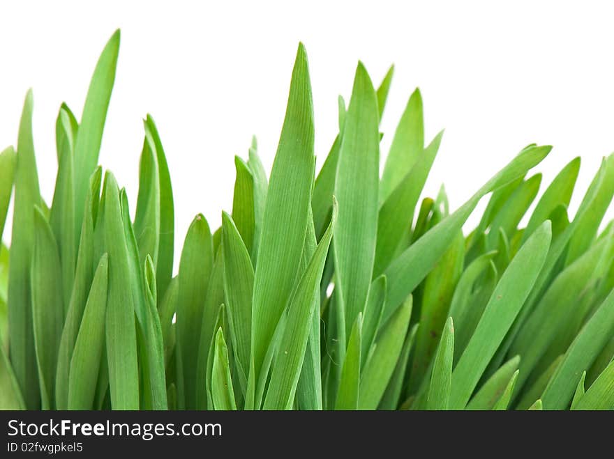 Green glass isolated on the white background