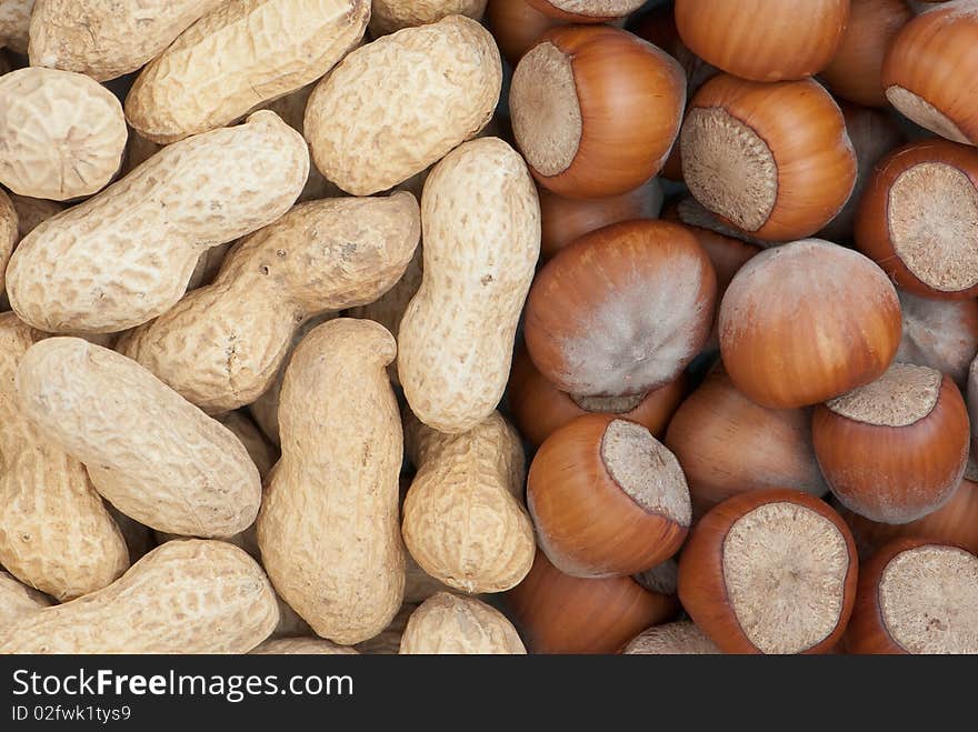 Composition from nuts on the white isolated background