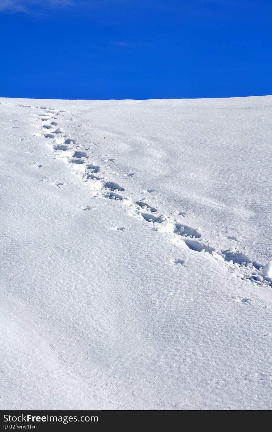 Line on snow