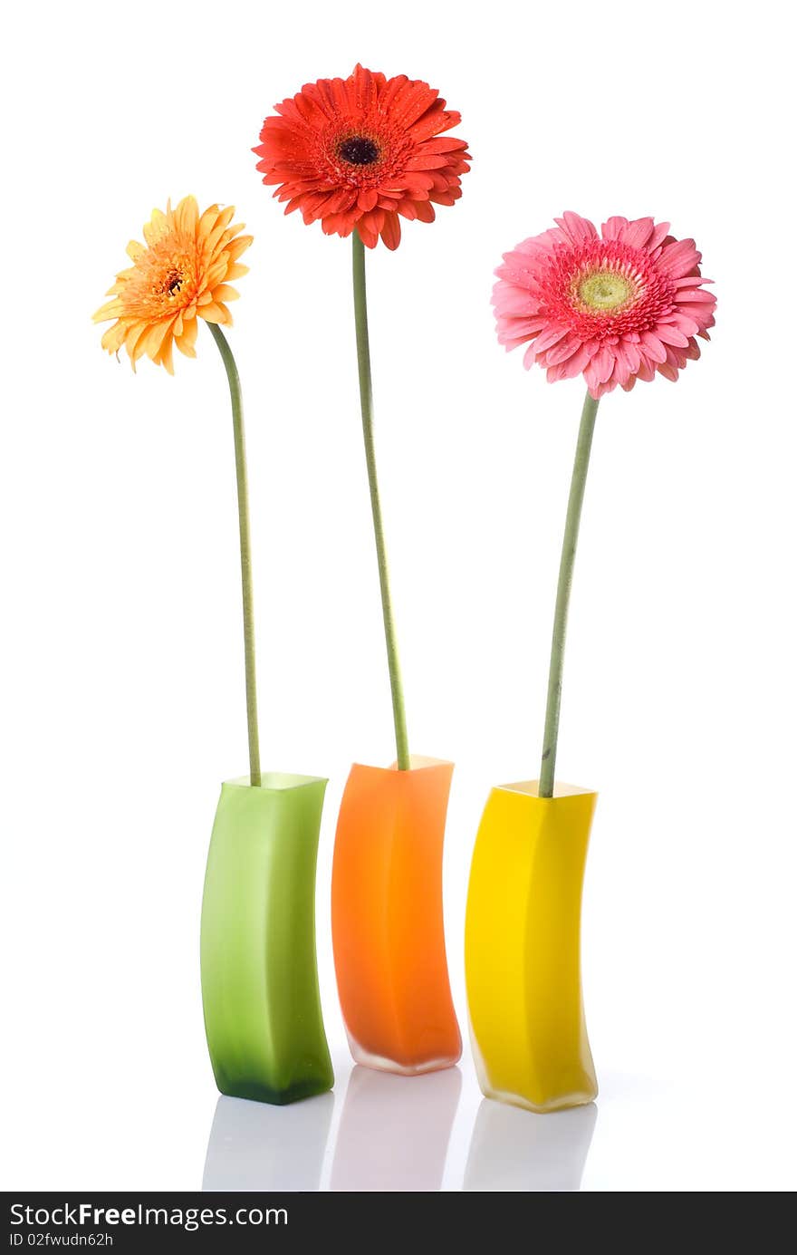 Bouquet from daisy-gerbera in glass vase isolated on white