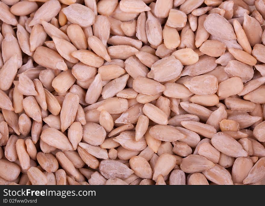 Close up of sunflower seeds