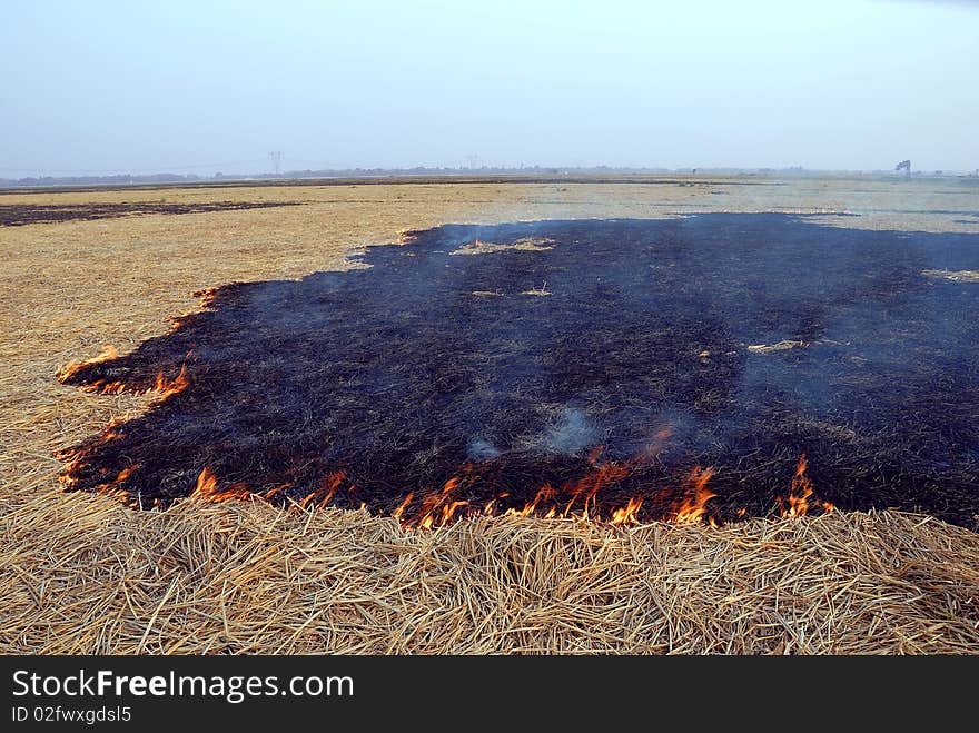 Fire in the field.