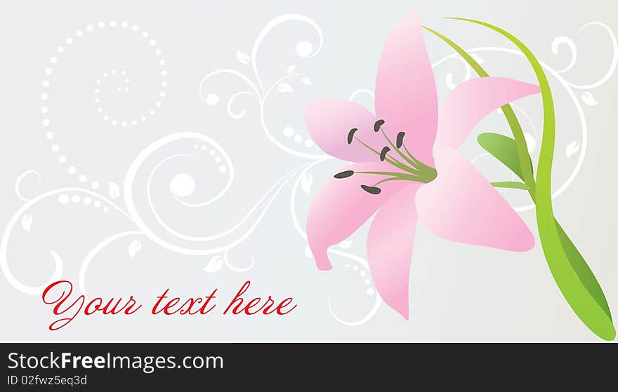 Vector Card With Pink Lily