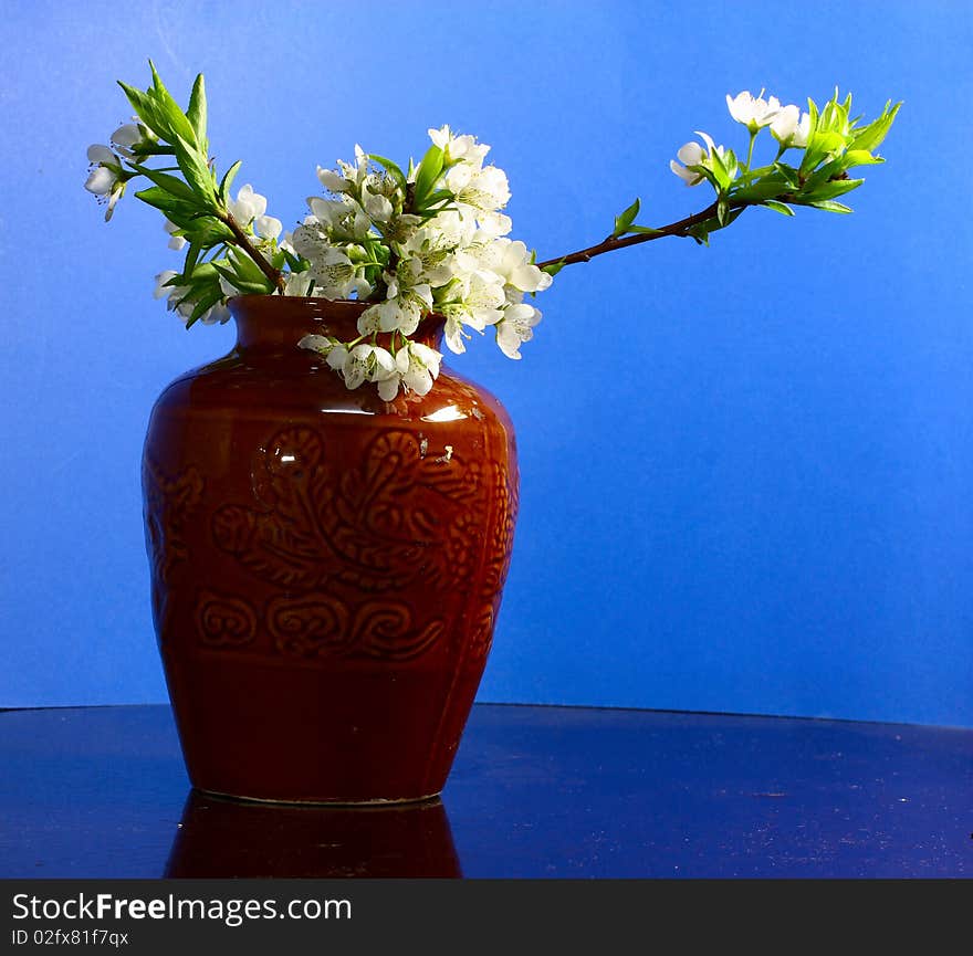 Pear flowers