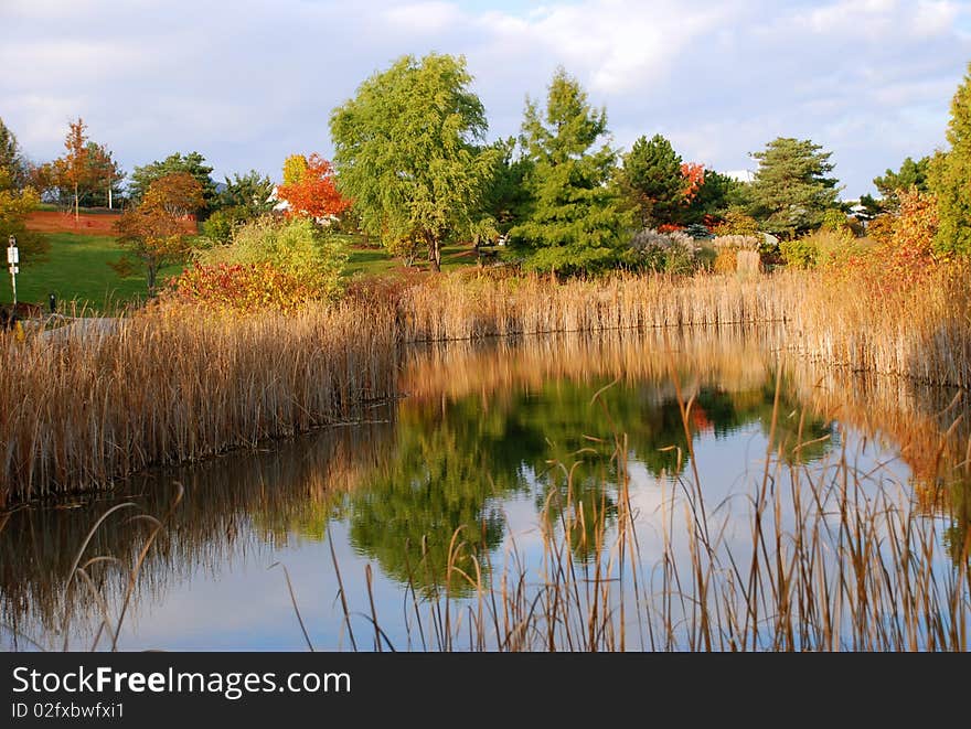 Humber Park has a small lake with very calm waters. Humber Park has a small lake with very calm waters