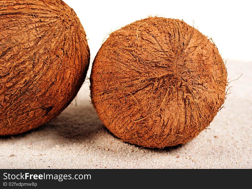 Coconuts on the sand background