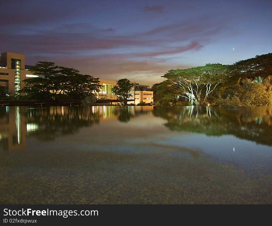 View of buildings, trees, and light reflection at Hort Park's pond by night