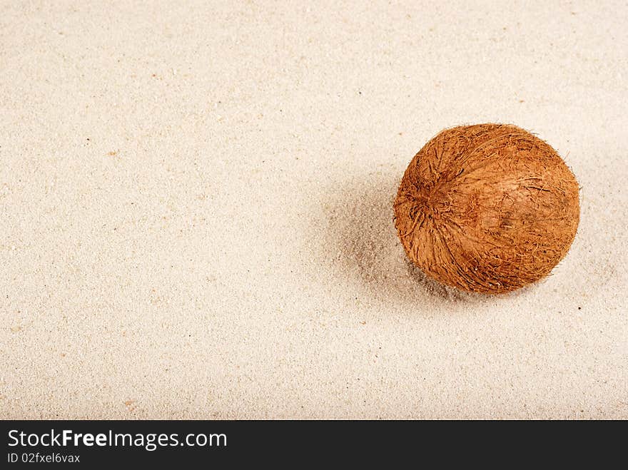 Coconut on the sand background