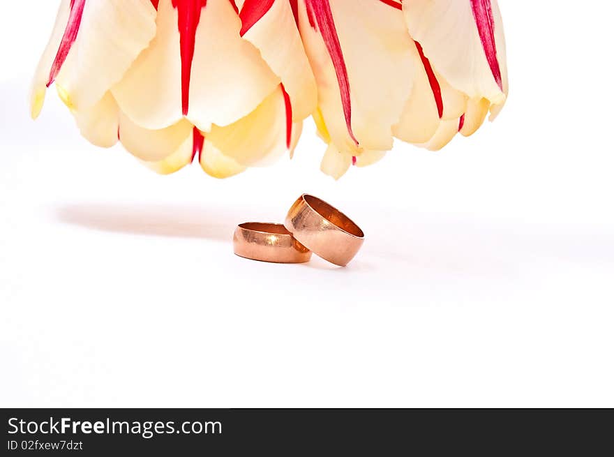 Red tulips with wedding rings isolated on white. Red tulips with wedding rings isolated on white