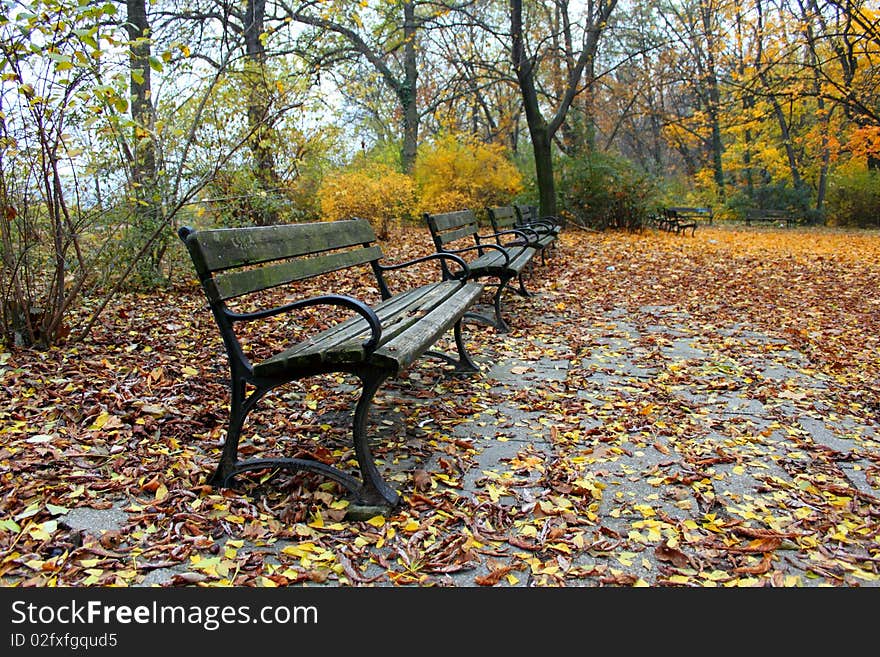 Empty benches in a lonely park, in autumn. Empty benches in a lonely park, in autumn.