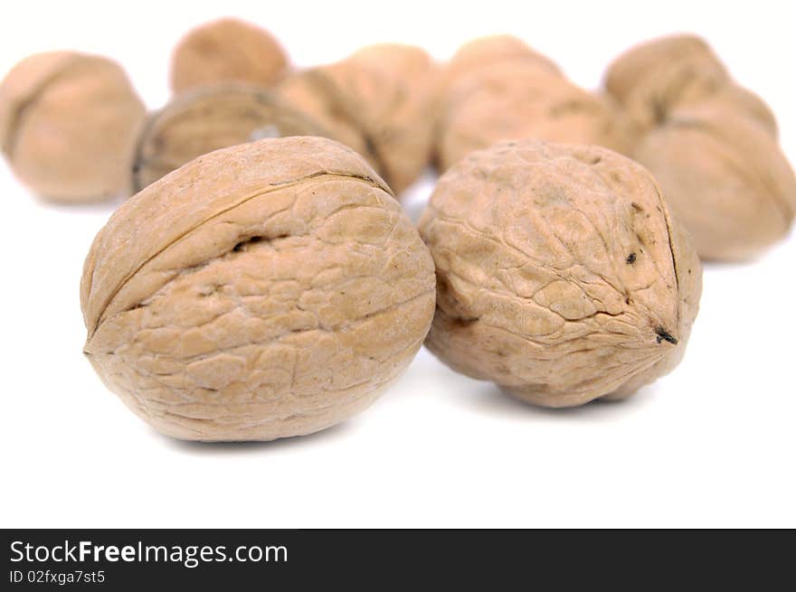 Walnut  on a white background. Walnut  on a white background