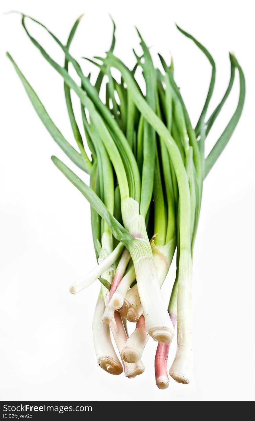 Green onions bunch