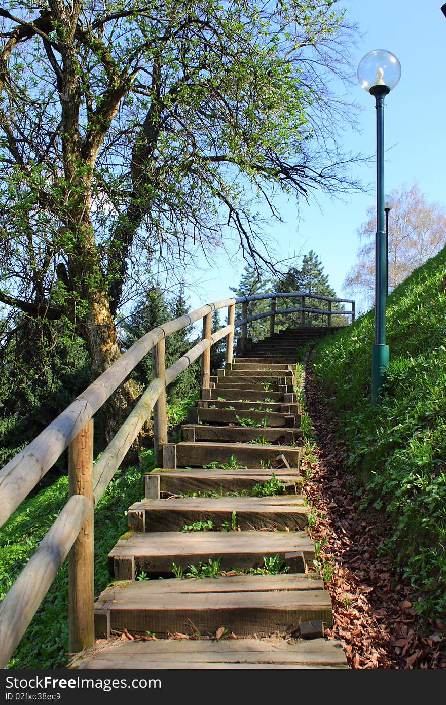 Wooden stairway set up on the hillside