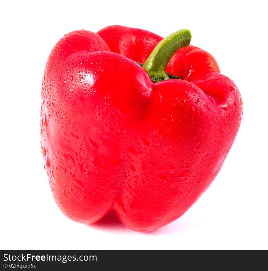 Red Pepper With Condensation on Isolted White Background