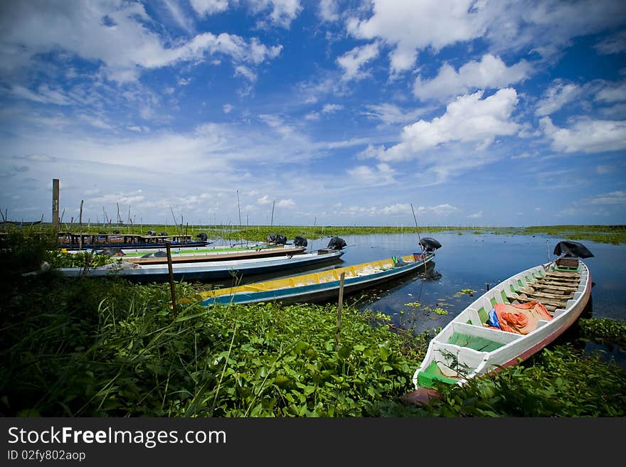 Talanoi is the name of this place,located in Phatthalung Province,Thailand.(Fresh water lake). Talanoi is the name of this place,located in Phatthalung Province,Thailand.(Fresh water lake)