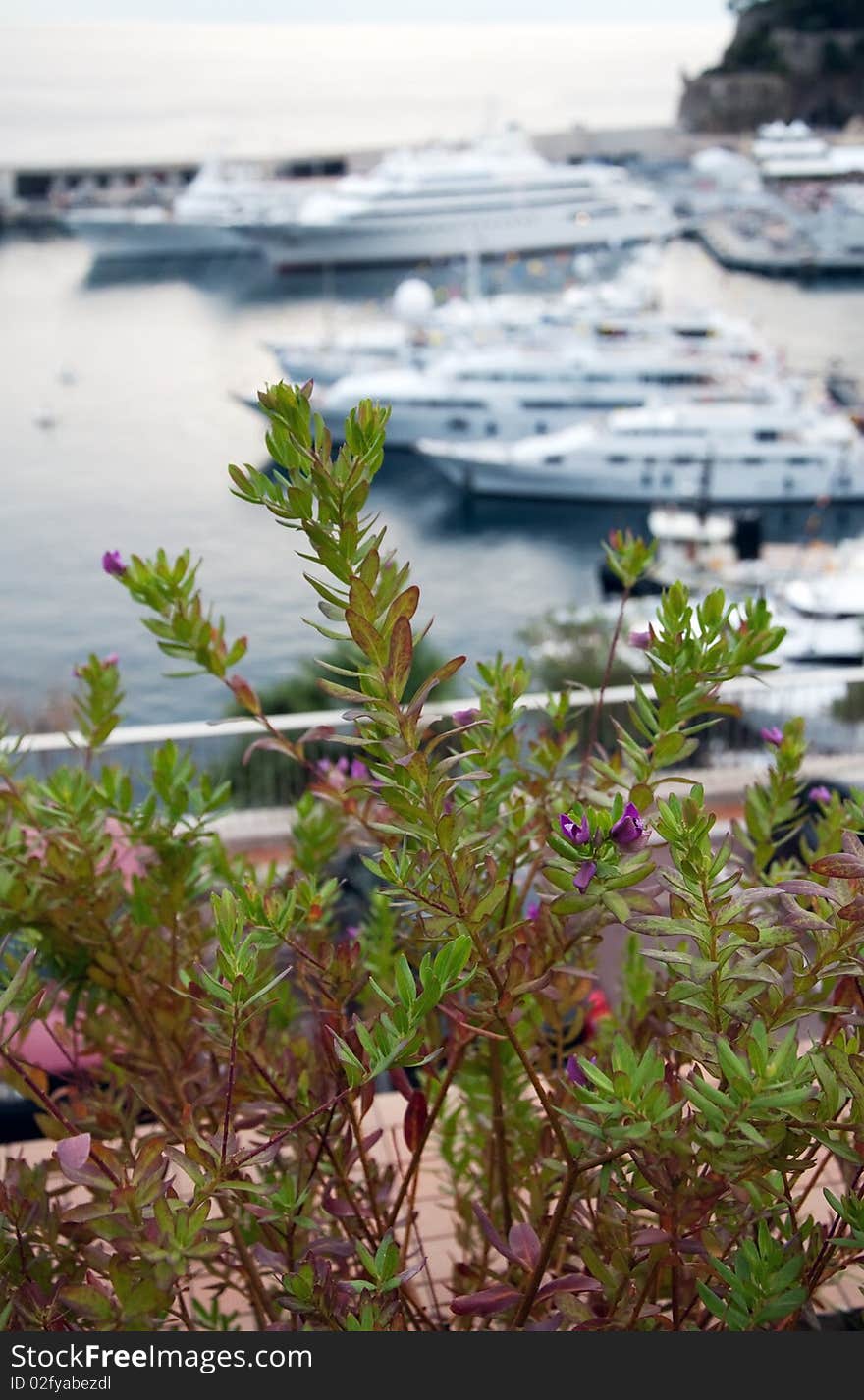 Monaco harbor