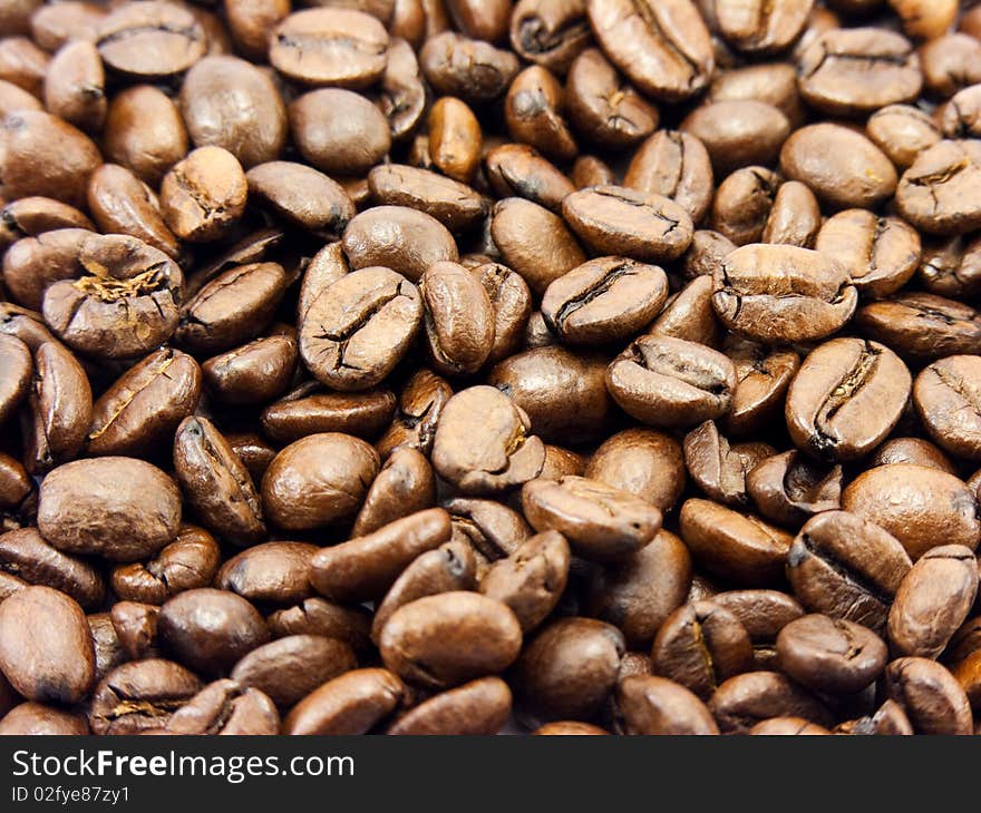 Coffee beans fading into the background.