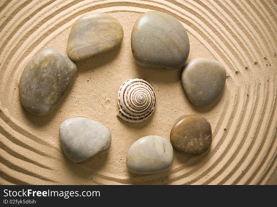 Stones and seashell on brown sand