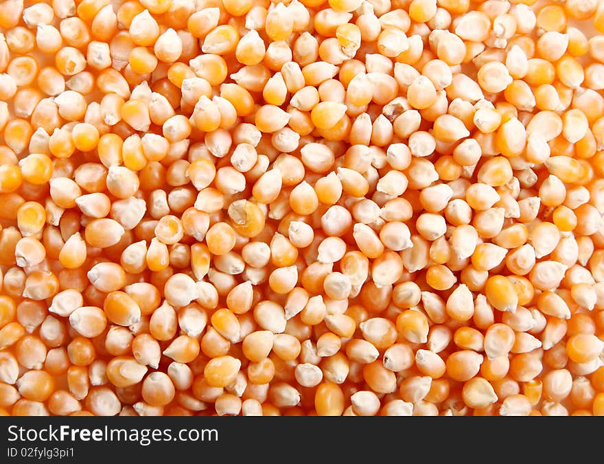 Yellow corn texture. Raw food image. Grain