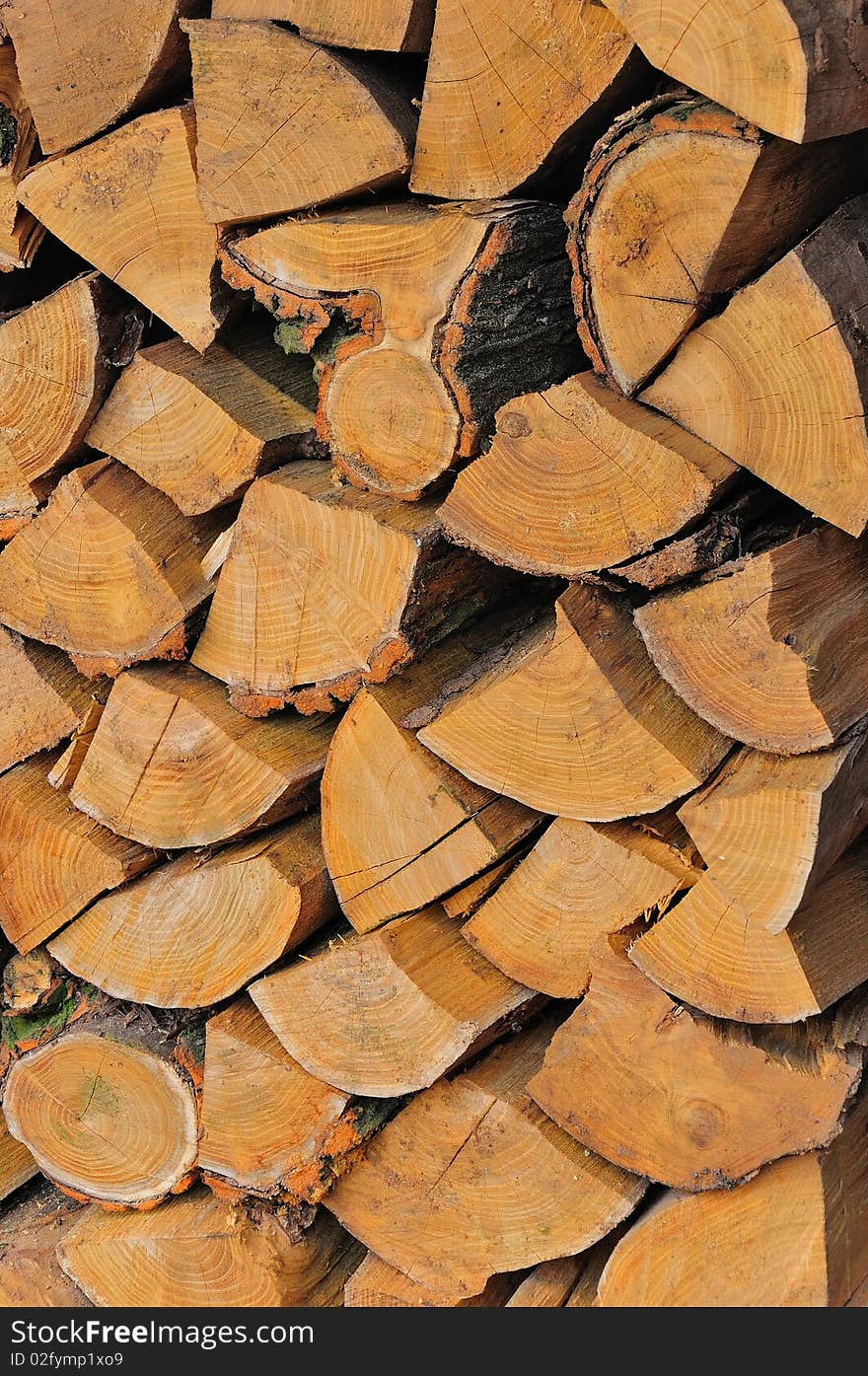 The picture presents a collection of firewood for the fireplace. A tree smashed the comfortable pads