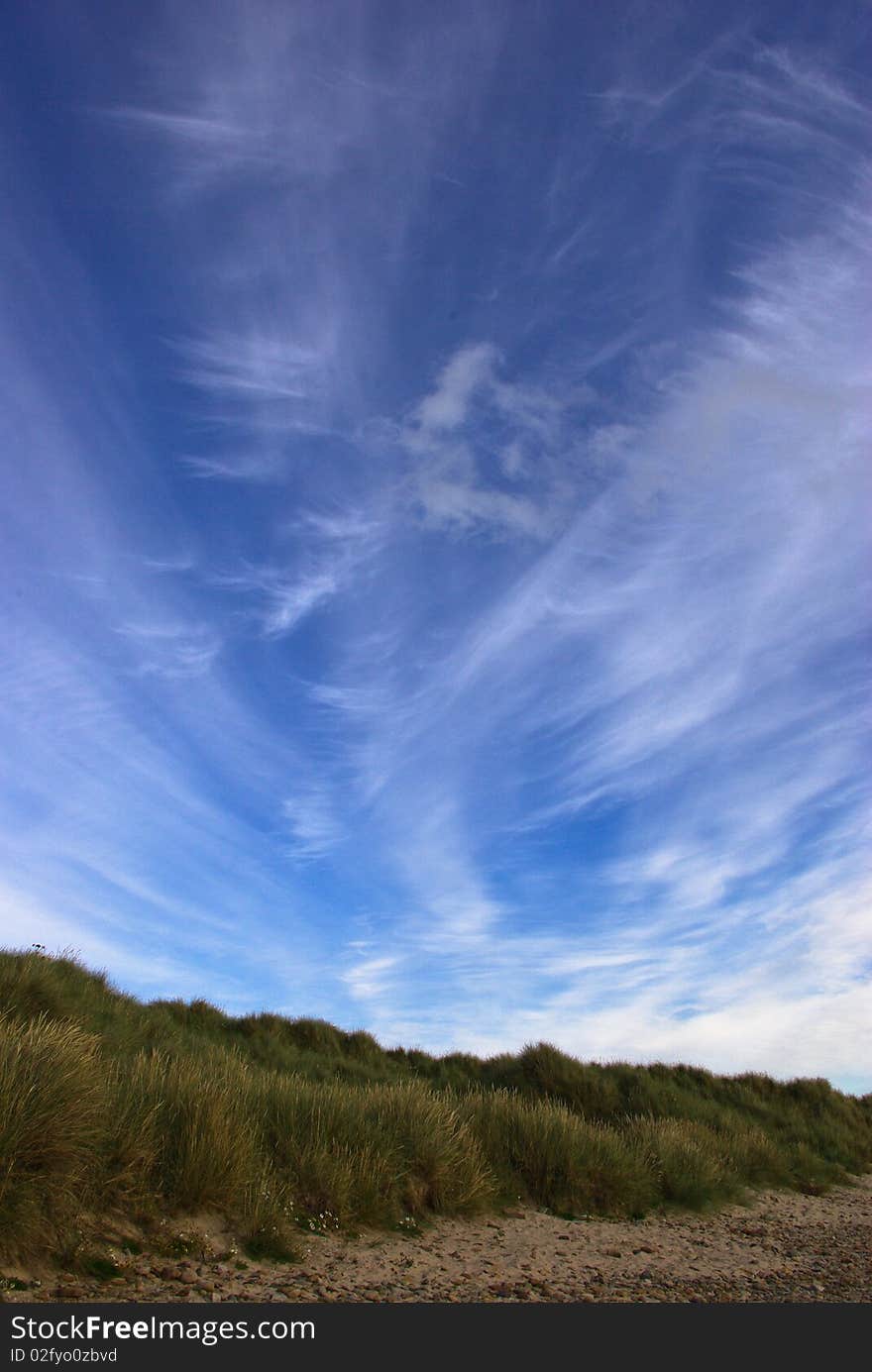 Windy Beach 2