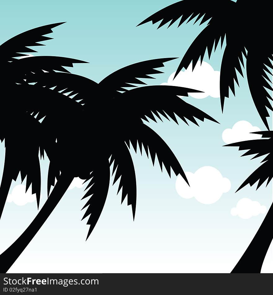 Silhouette of tropical palm trees. Silhouette of tropical palm trees