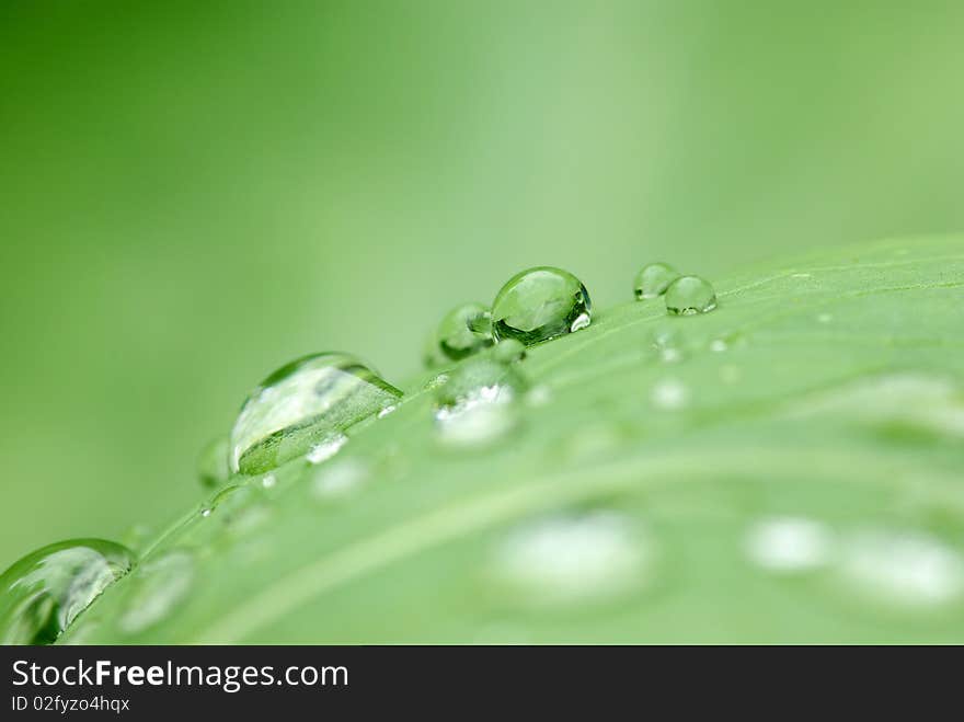 Water Drops