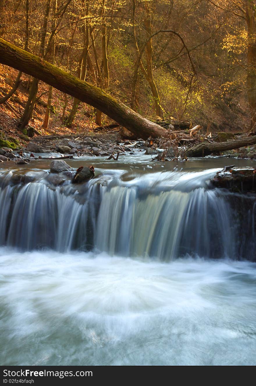 Waterfall In The Forest