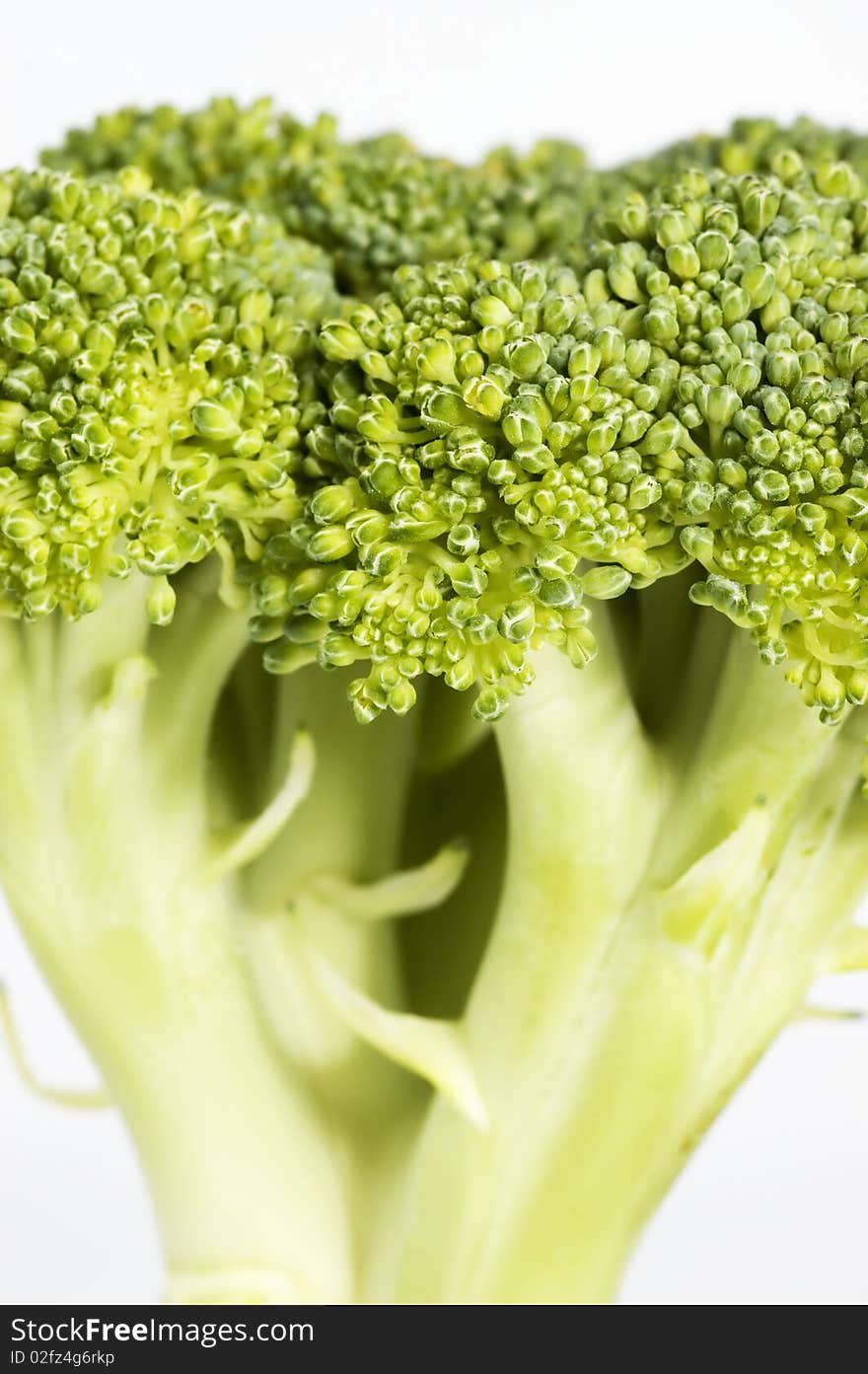 Broccoli Florets