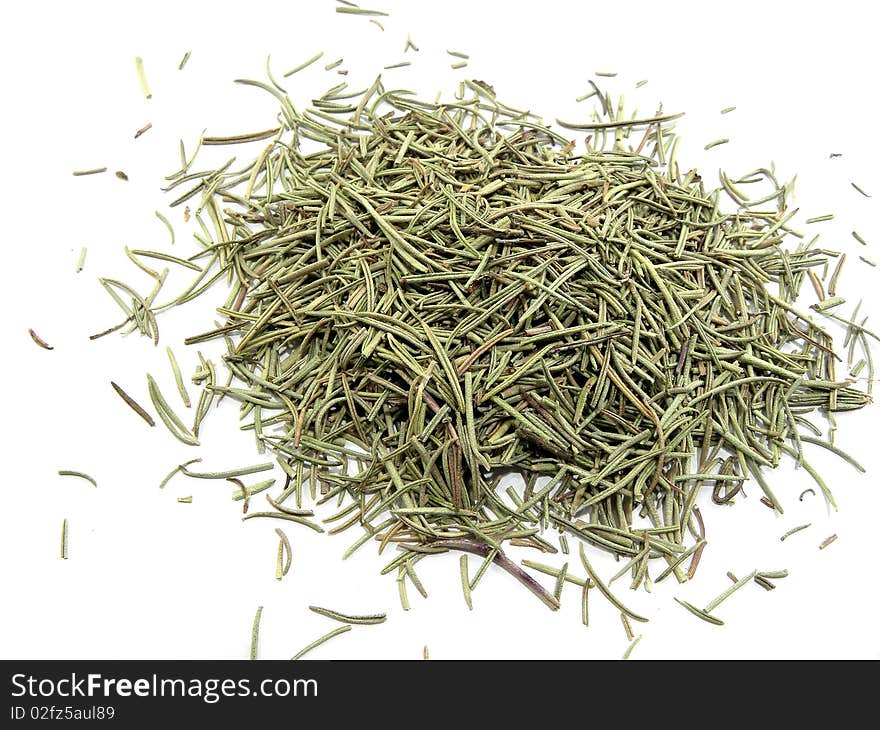 Rosemary on a white background