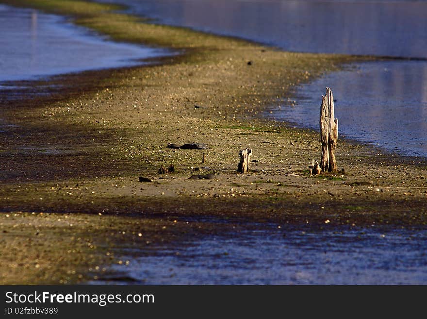 Detail of  Secovlje Salina National Park. Detail of  Secovlje Salina National Park.