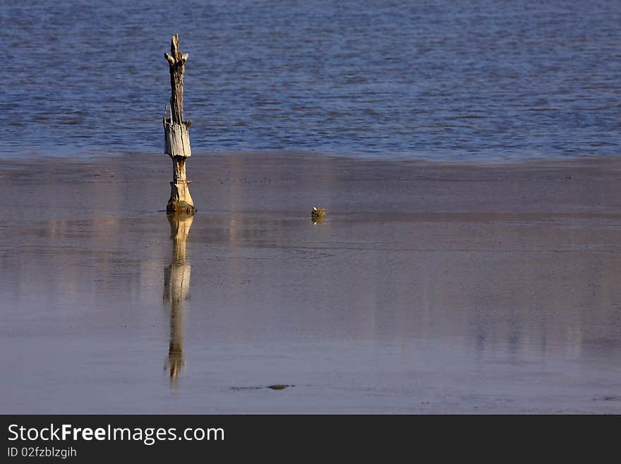 Sea And Wood