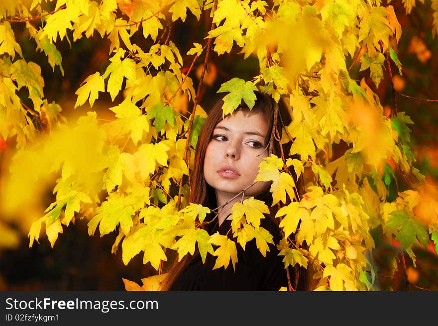 Autumn girl, beautiful girls portrait