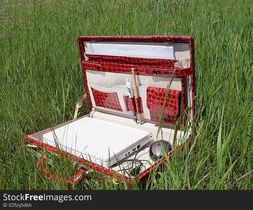 Female case with the computer is on the green grass. Female case with the computer is on the green grass