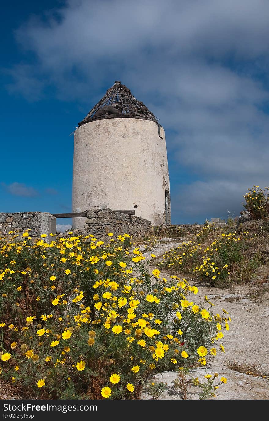 Old windmill against the sky surrounded by flowers