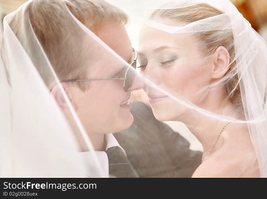 Bride and Groom Under Veil