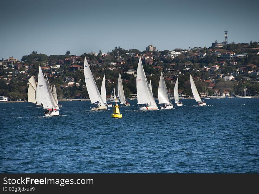 Sunny August Morning in the Bay of Sydney, Australia. Sunny August Morning in the Bay of Sydney, Australia